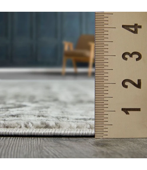 Loomaknoti Rhane Allinzie Cream/Gray ER021 4 ft.  X 6 ft.  Rectangle Rug