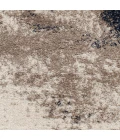 Toronto Edmarndo Area Rug By Central Oriental