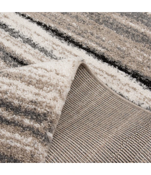 Toronto Madicyn Area Rug By Central Oriental