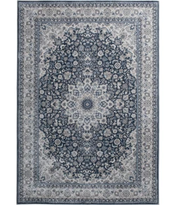 Central Oriental Clearwater Alegria N/B Area Rug 5 ft. 3 X 7 ft. 7 Rectangle