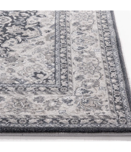 Central Oriental Clearwater 2812IC81-200 Area Rug