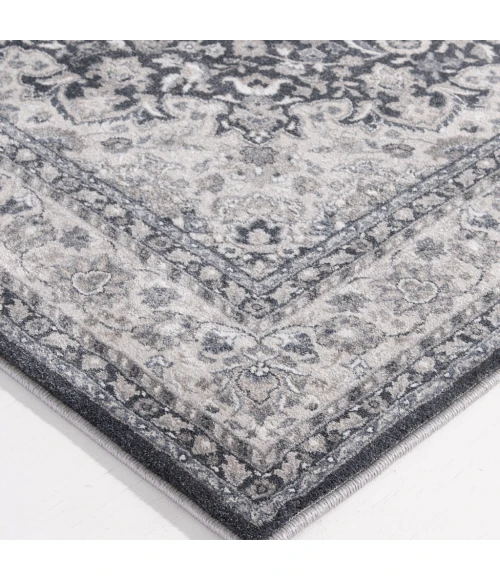 Central Oriental Clearwater 2812IC81-200 Area Rug