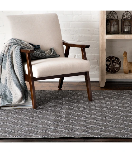 Hampton Azerianz Area Rug By Central Oriental