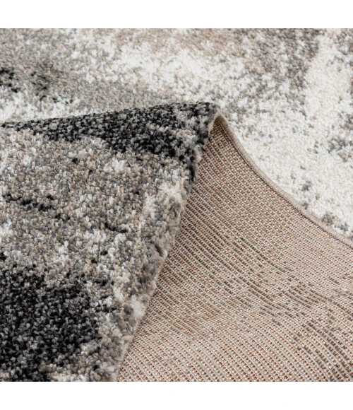 Toronto Edmarndo Area Rug By Central Oriental