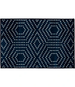 Loomaknoti Tecopa Kaharie Blue/White ETR21BWH50 4 ft. X 6 ft. Rectangle Rug