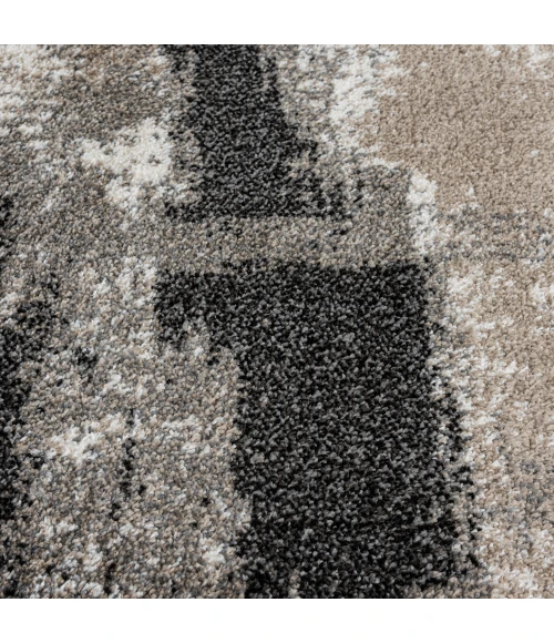 Toronto Edmarndo Area Rug By Central Oriental