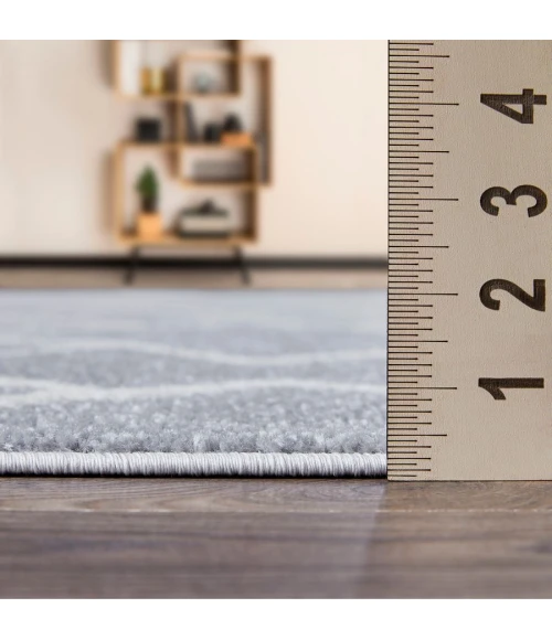 Loomaknoti Kissandrah Bleyana Gray/Cream EKI004 4 ft. X 6 ft. Rectangle Rug