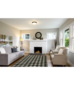 Central Oriental Erin & Ben _ Adley Linezure Plaid 7ft.10 x 9ft.10in. Rect. Rug
