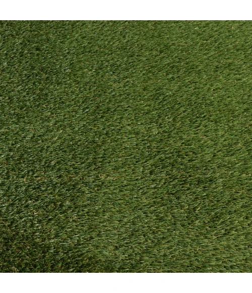 Central Oriental Artificial Turf 4356 PRT043056-5X7 Area Rug