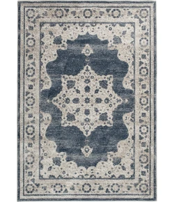 Central Oriental Clearwater Glint Nf/Ck Area Rug 5 ft. 3 X 7 ft. 7 Rectangle