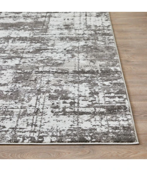 Loomaknoti Rhane Vailin Gray/Cream ER001 2 ft. X 6 ft. 7 in. Rectangle Rug
