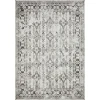 Loomaknoti Rhane Almurz Gray/Cream ER013 5 ft. 3 in. X 7 ft. 3 in. Rectangle Rug