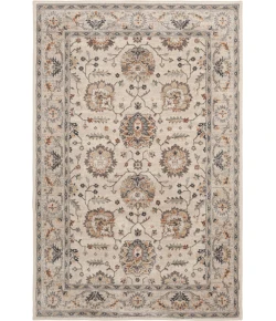 Central Oriental Minerva Roan Alabaster Area Rug 5 ft. X 7 ft. 3 in. Rectangle