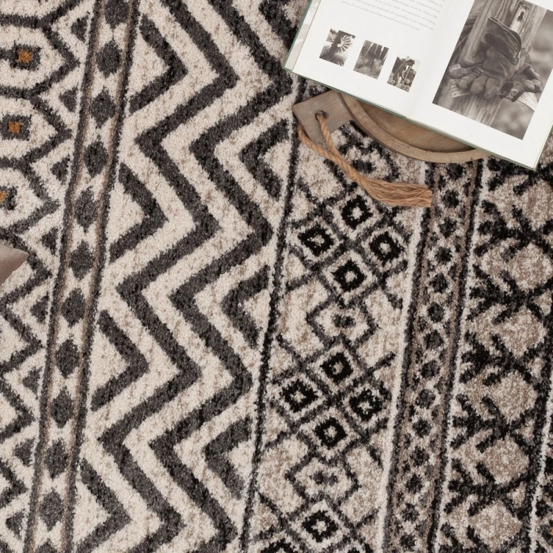 Toronto Ralitha Area Rug By Central Oriental