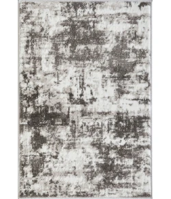 Loomaknoti Rhane Vearali Gray/Cream ER002 2 ft. X 3 ft. Rectangle Rug