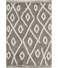 Loomaknoti Vemoa Avonako Gray/Cream EV003 4 ft.  X 6 ft.  Rectangle Rug
