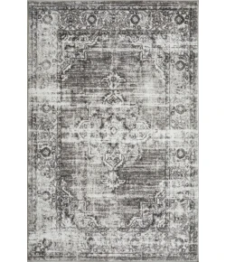 Loomaknoti Rhane Allinzie Cream/Gray ER021 4 ft. X 6 ft. Rectangle Rug