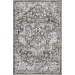 Loomaknoti Rhane Alemern Gray/Cream ER019 2 ft. X 3 ft. Rectangle Rug