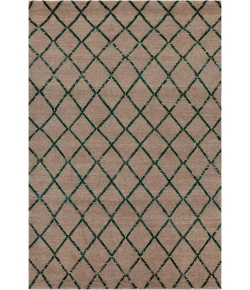 Chandra AARUSHI AAR-44003 5 ft. X 7 ft. 6 in. Rect. Rug - Tan, Green