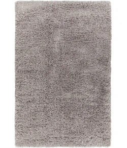 Chandra BOLERO BOL-51303 5 ft. X 7 ft. 6 in. Rect. Rug - Slver