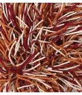 Chandra CYRAH Red,Orange,Ivory CYR-10801 9ft. x 13ft. Rect. Rug