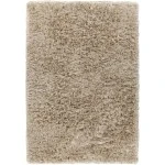 Chandra DIANO DIA-29502 5 ft. X 7 ft. 6 in. Rect. Rug - Tan
