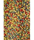 Chandra GEMS GEM-9602 5 ft. X 7 ft. 6 in. Rect. Rug
