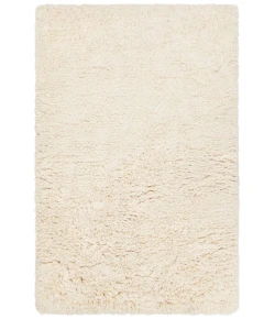 Chandra NOELY NOE-43200 5 ft. X 7 ft. 6 in. Rect. Rug - Cream
