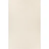 Chandra RAVEN RAV-47401 7 ft. 9 in. X 10 ft. 6 in. Rect. Rug - Ivory