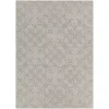 Chandra REKHA REK-29603 5 ft. X 7 ft. Rect. Rug - Grey