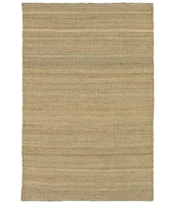 Chandra SAKET SAK-3701 7 ft. 9 in. X 10 ft. 6 in. Rect. Rug - Natural Tan