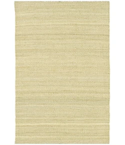 Chandra SAKET SAK-3702 7 ft. 9 in. X 10 ft. 6 in. Rect. Rug - Tan