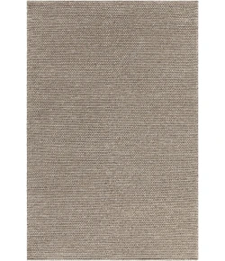 Chandra SINATRA Brown,Cream SIN-10101 9ft. x 13ft. Rect. Rug