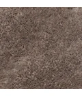 Chandra SOFIE SOF-47901 5 ft. X 7 ft. 6 in. Rect. Rug