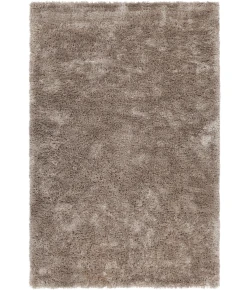 Chandra SOFIE SOF-47901 7 ft. 9 in. X 10 ft. 6 in. Rect. Rug - Taupe