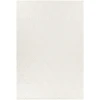 Chandra SUJAN White SUJ-34700 9ft. x 13ft. Rect. Rug