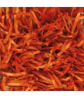 Chandra TIRISH TIR-19305 7 ft. 9 in. X 10 ft. 6 in. Rect. Rug