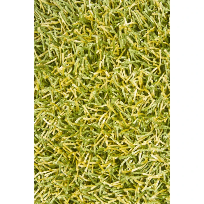 Chandra ZARA ZAR-14511 4 ft. X 6 ft. Rect. Rug