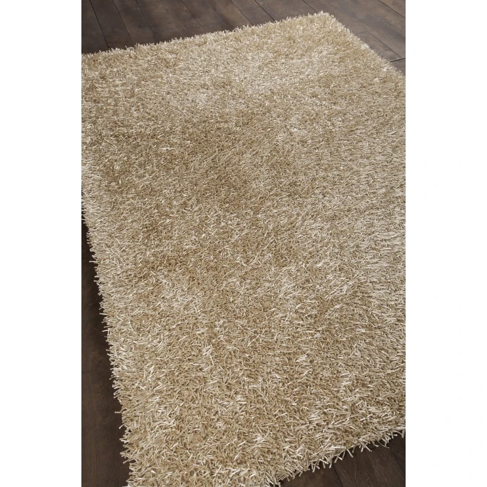 Chandra ZARA ZAR-14520 4 ft. X 6 ft. Rect. Rug