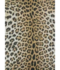 Couristan Dolce Amur Leopard 2' x 4' New Gold Area Rug
