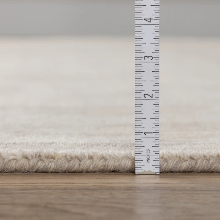 Dalyn Rafia RF100 Granite Area Rug 3 ft. 6 in. X 5 ft. 6 in. Rectangle