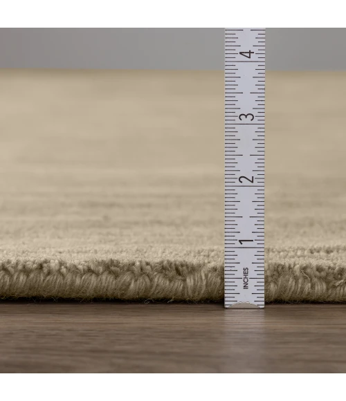 Dalyn Rafia RF100 Taupe Area Rug 3 ft. 6 in. X 5 ft. 6 in. Rectangle