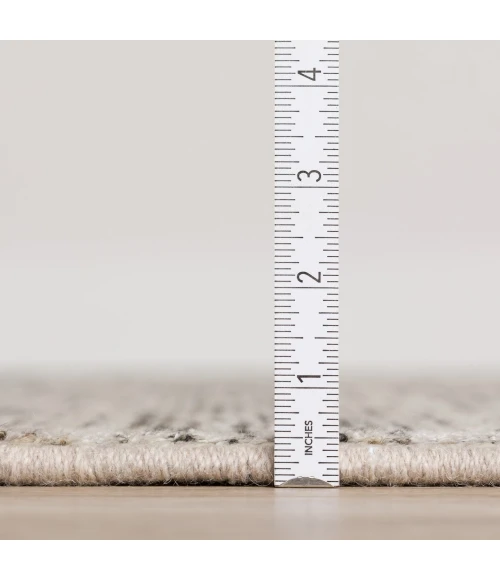 Dalyn Arcata AC1 Ebony Area Rug 2 ft. X 3 ft. Rectangle