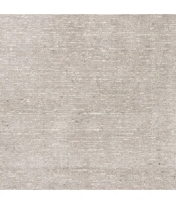 Dalyn Arcata AC1 Ivory Area Rug 2 ft. X 3 ft. Rectangle