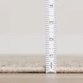 Dalyn Arcata AC1 Putty Area Rug 3 ft. 6 X 5 ft. 6 Rectangle