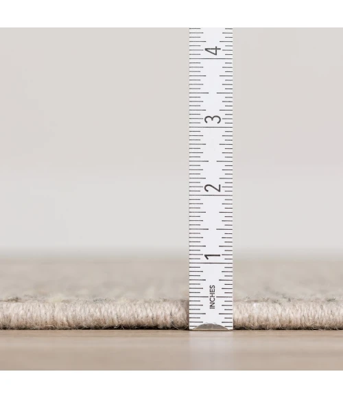 Dalyn Arcata AC1 Putty Area Rug 2 ft. X 3 ft. Rectangle