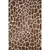 Dalyn Akina AK4 Chocolate Area Rug 5 ft. X 7 ft. 6 Rectangle