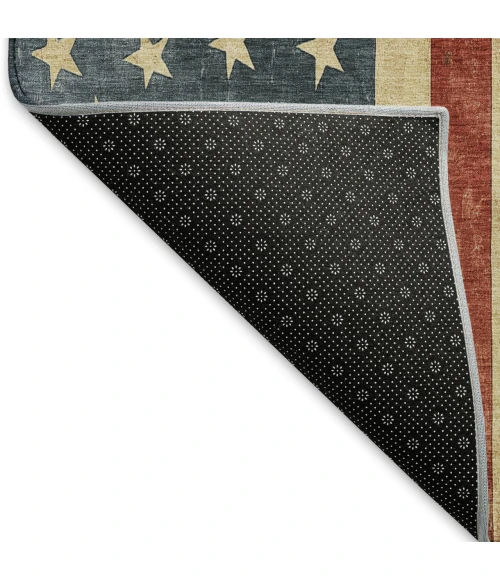 Dalyn Americana Red AM1 2ft.6in. x 3ft.10in. Rug