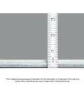 Dalyn Americana Red AM1 2ft.6in. x 3ft.10in. Rug