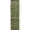 Dalyn Burano Green BU3 2ft.3in. x 7ft.6in. Rug